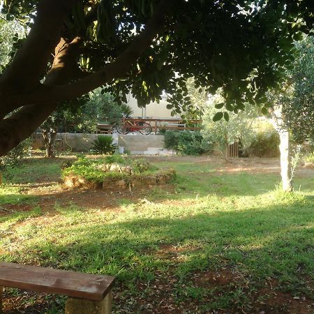 Apartament Aquilone Castelluzzo Zewnętrze zdjęcie